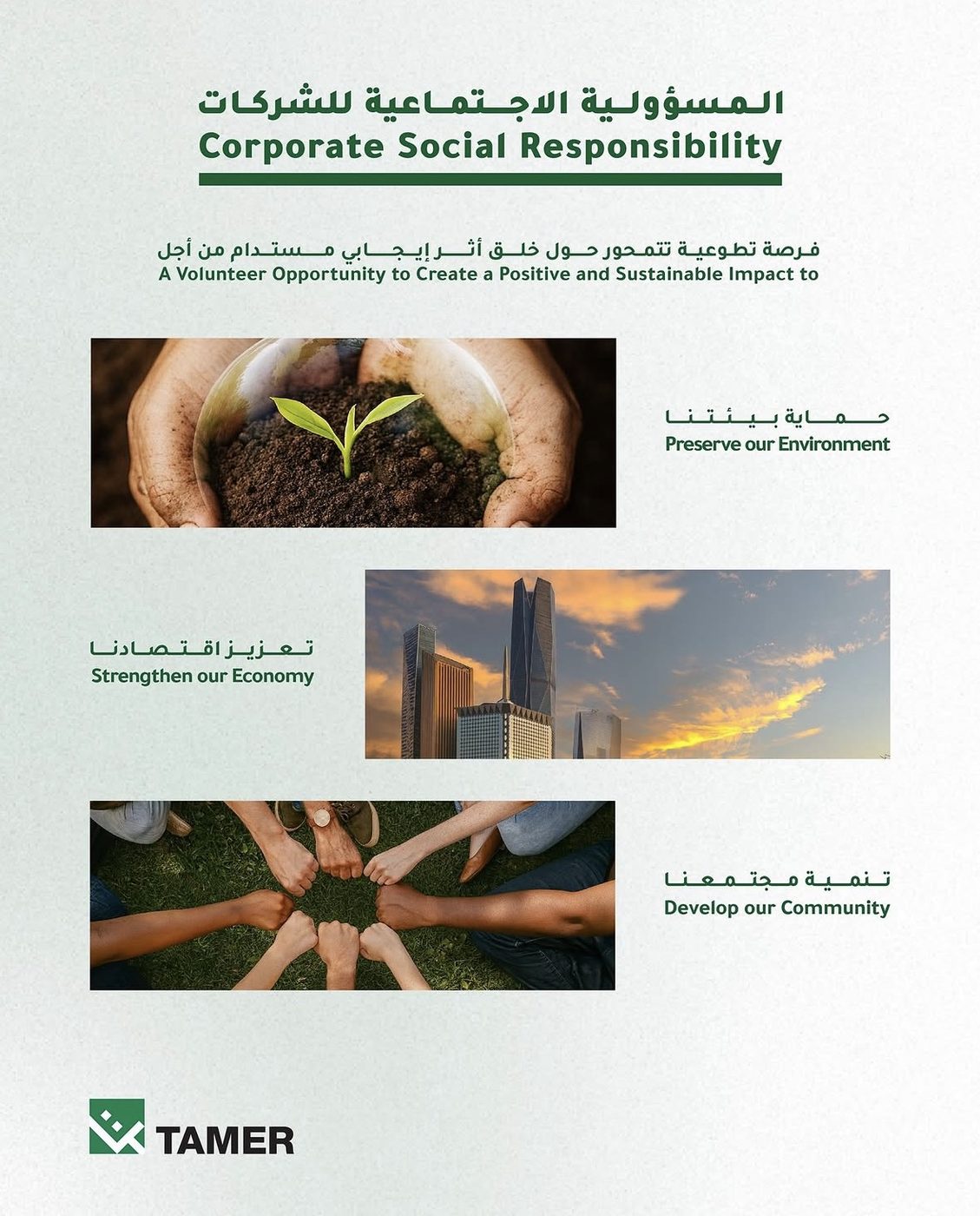 Tamer Group: five entities, one account
