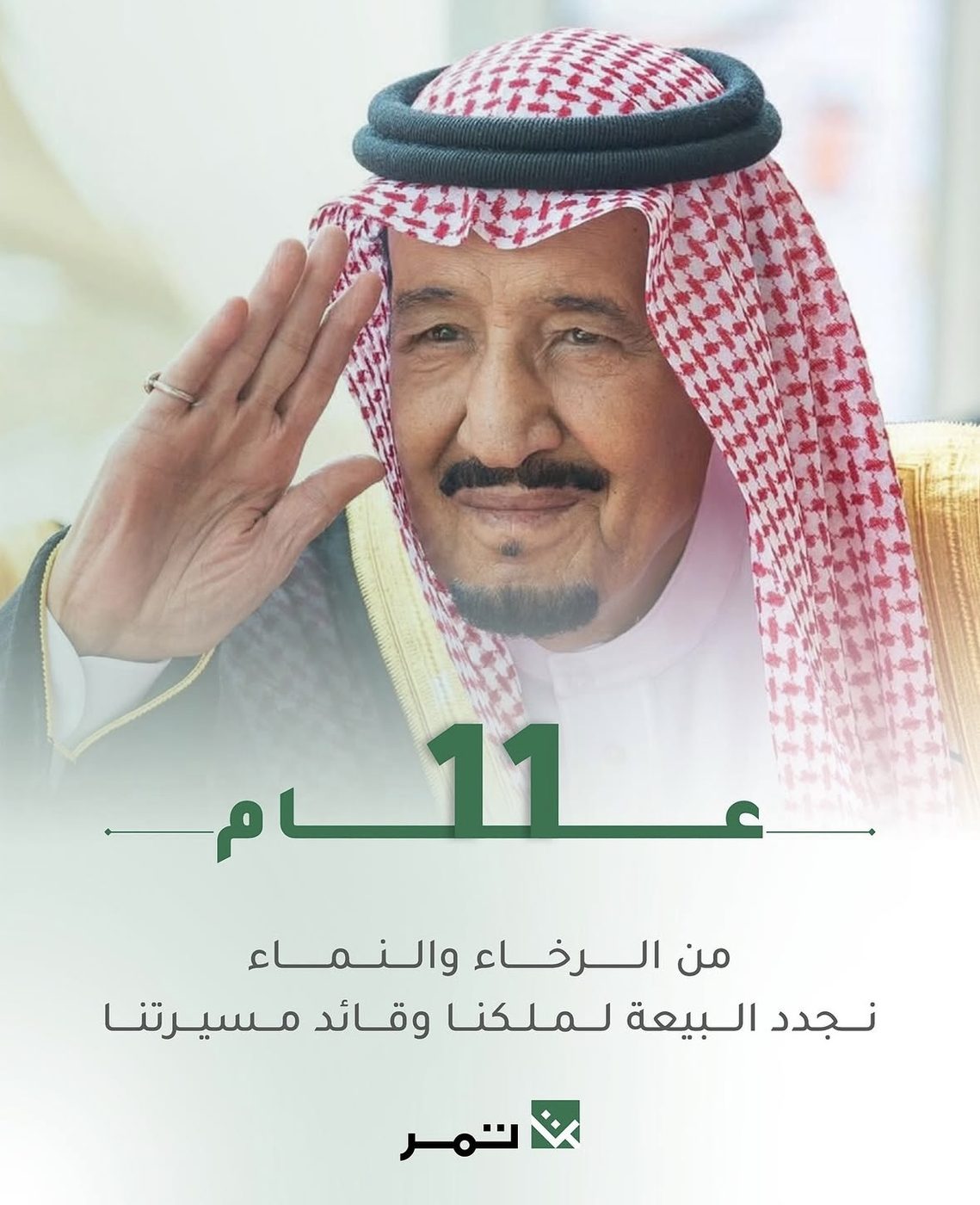 Tamer Group: five entities, one account